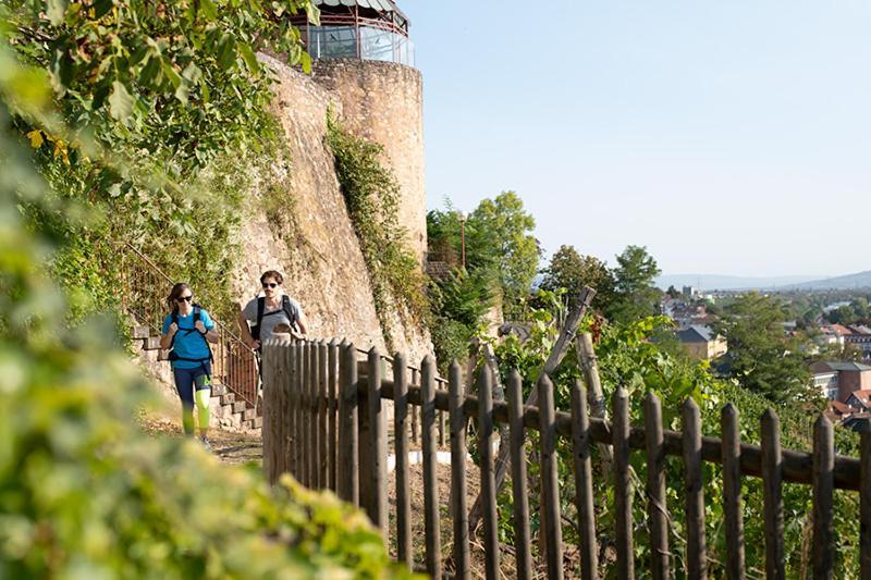 Landhotel Kauzenberg Bad Kreuznach Kültér fotó